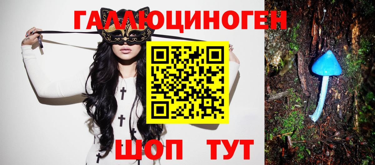Псилоцибиновые грибы Psilocybe Екатеринбург